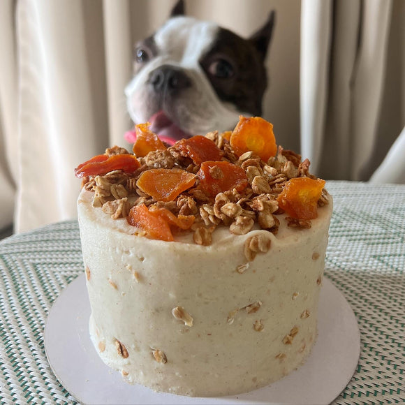 CARROT PUP CAKE